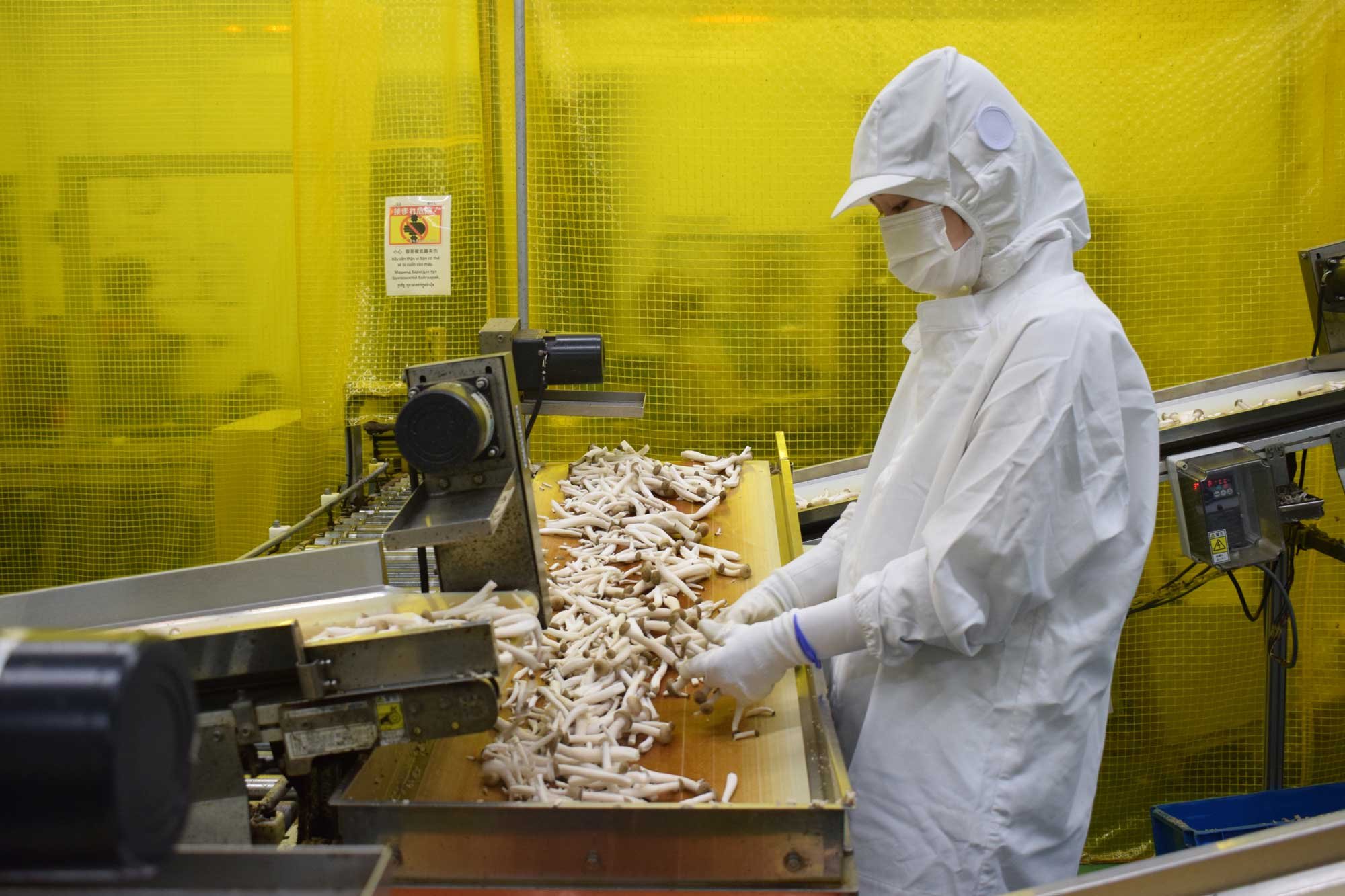 きのこ実地研修-写真