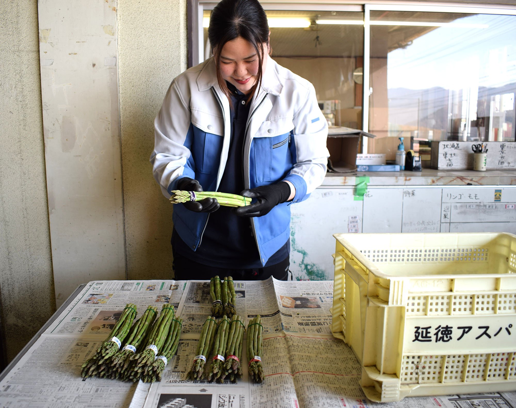 アスパラガス初出荷