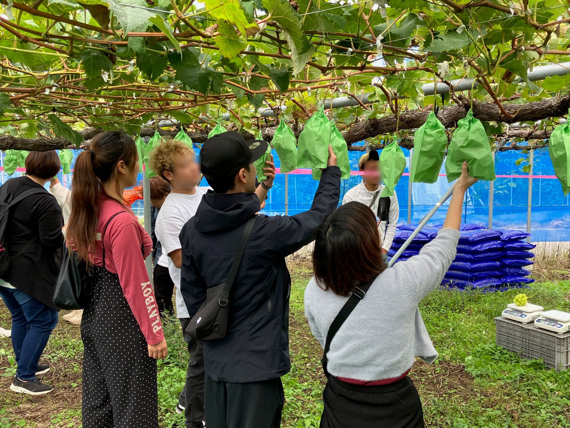 写真1(顔はぼかしてください)