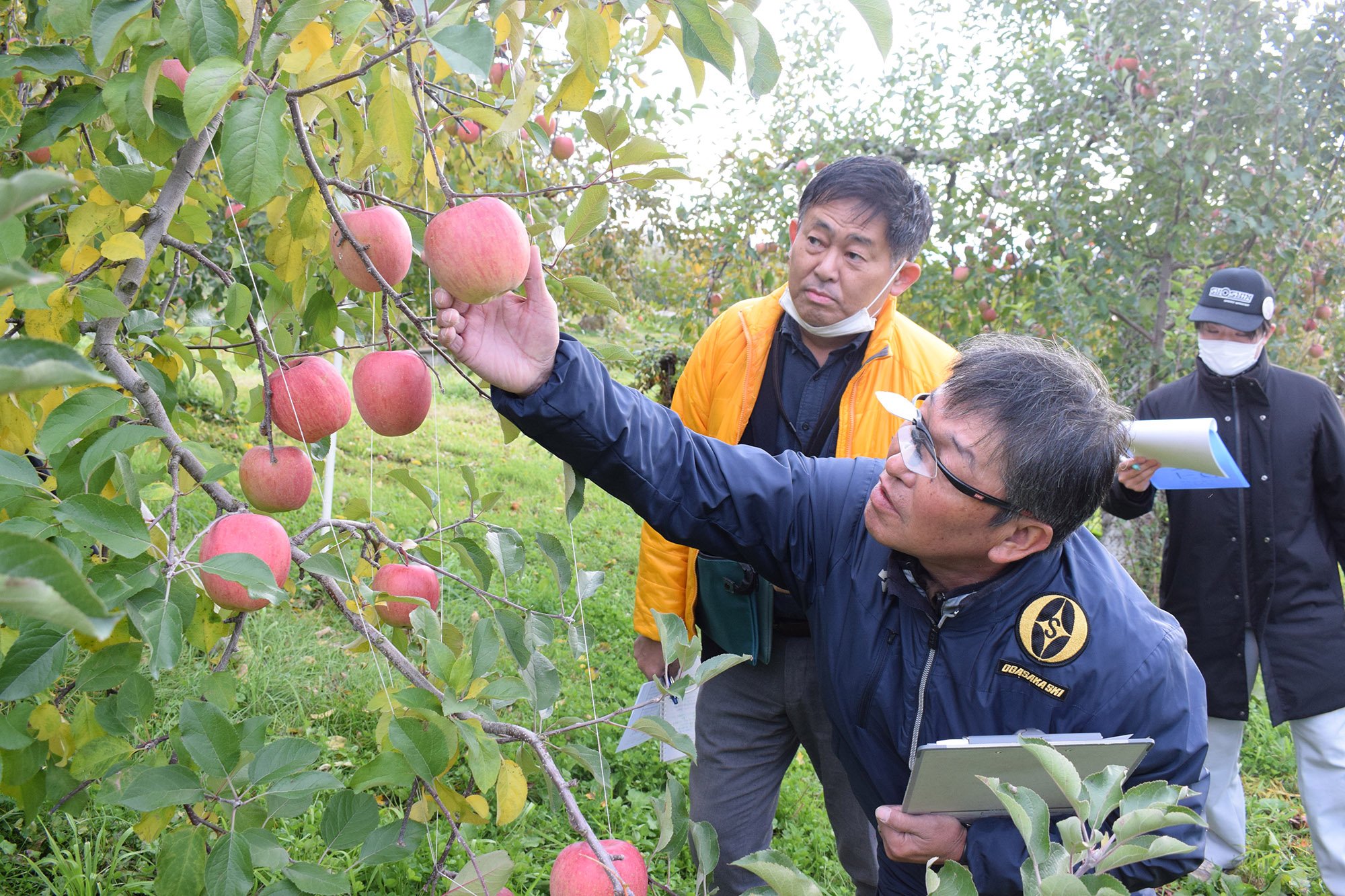 冠雪ふじ園地点検 写真