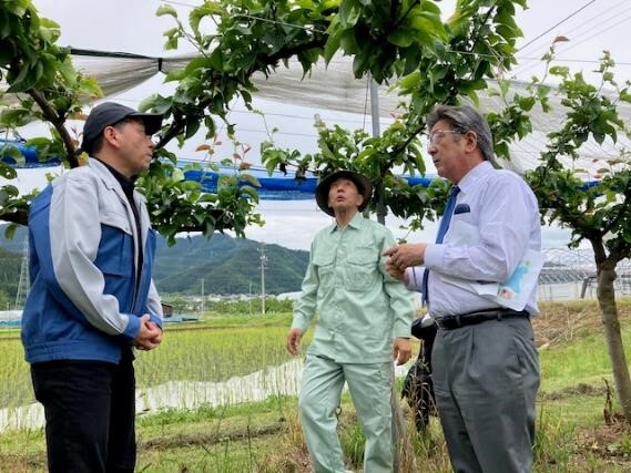 国会議員視察 写真