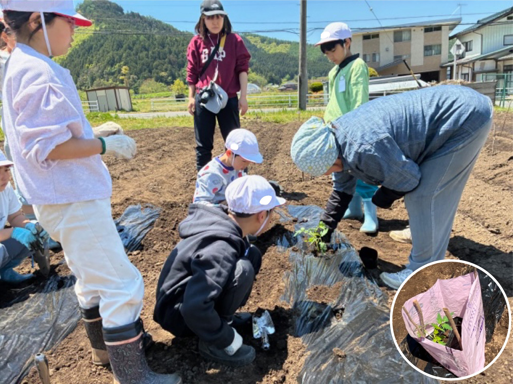 女性部食農教育授業3-写真(統合)2-1