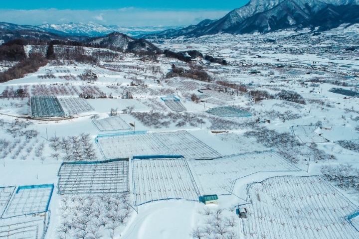 航空図 長丘 田麦