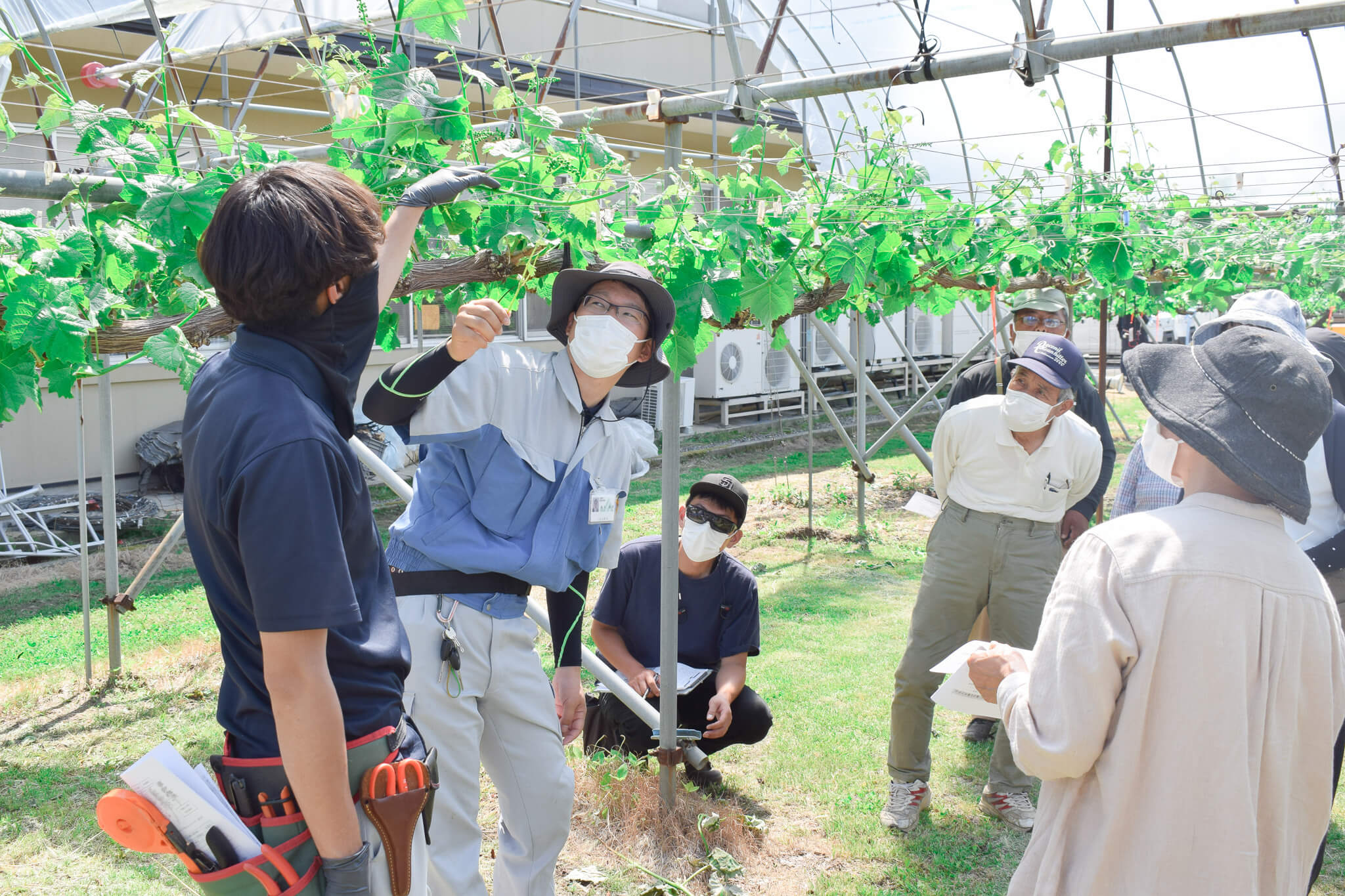 房切り講習会