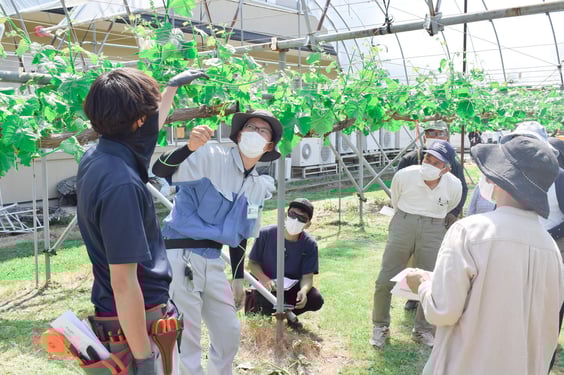 房切り講習会