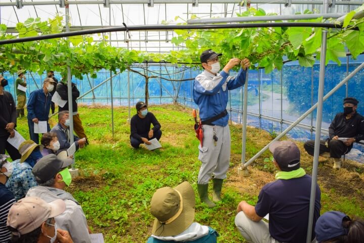 クイーンルージュ®の房づくり講習会