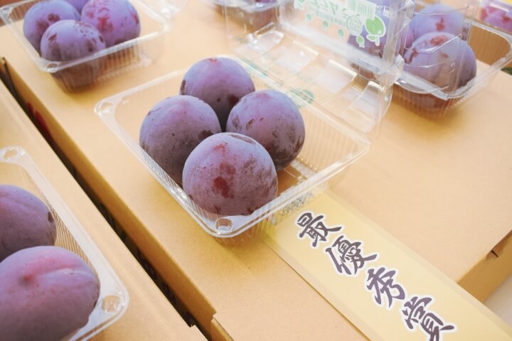 高品質なプラム出そろう 「太陽」コンクール