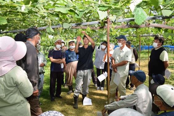 各地で多くの生産者が参加した摘粒講習会