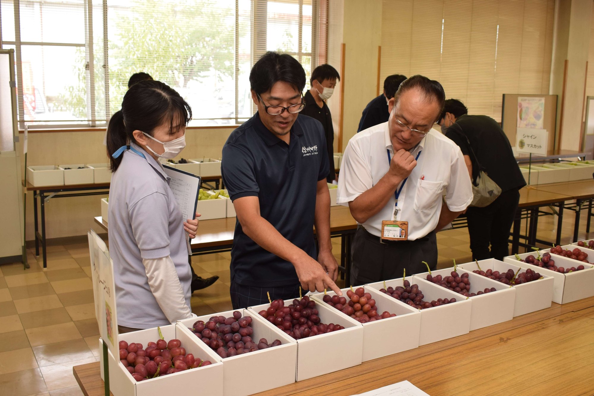 着色や房型などを厳正に審査する部会員ら