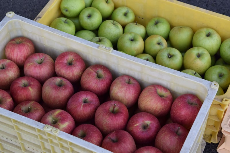 倭りんご直売所開設のお知らせ