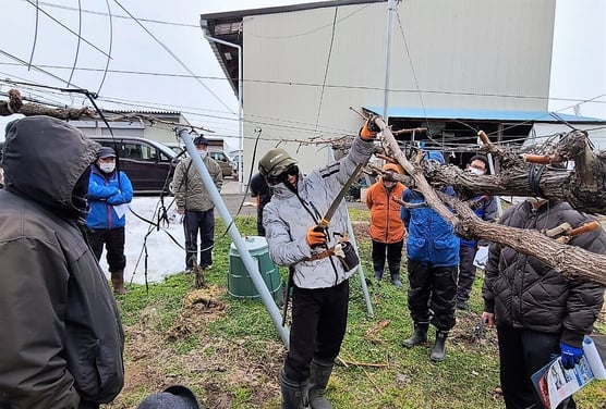 多くの生産者が参加した日曜園芸教室