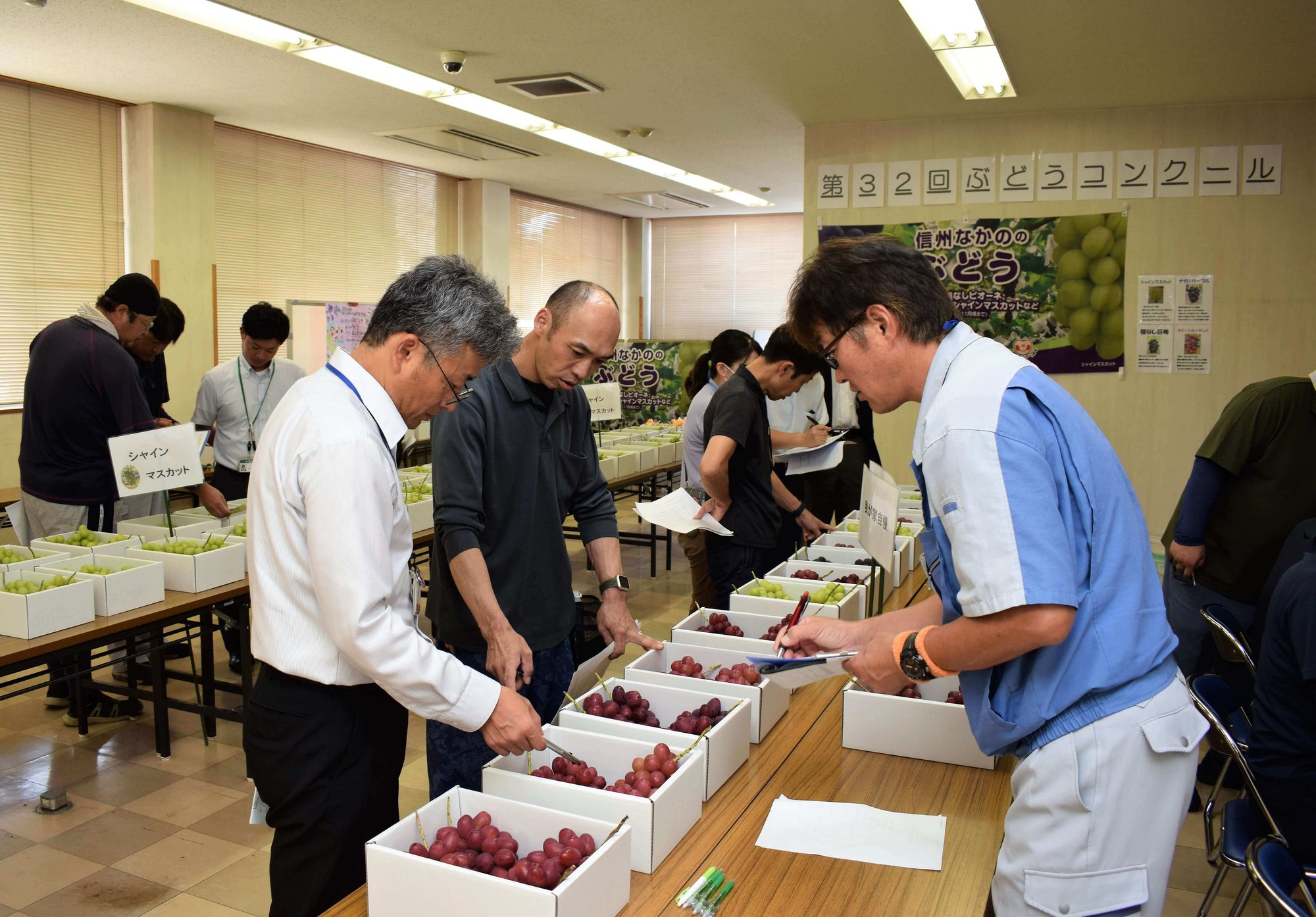 着色や房型などを厳正に審査する部会員ら