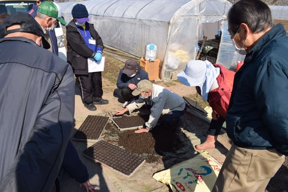 ブロッコリーの種まき方法を学ぶ会員